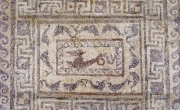 Museo Civico di Foggia, mosaico da Arpi (da http://www.dauniaferens.com/archeologia-classica/).