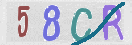 Immagine CAPTCHA