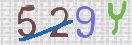 Immagine CAPTCHA