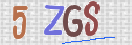 Immagine CAPTCHA