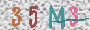 Immagine CAPTCHA