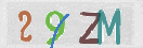 Immagine CAPTCHA