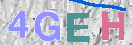 Immagine CAPTCHA
