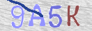 Immagine CAPTCHA