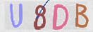 Immagine CAPTCHA