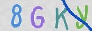 Immagine CAPTCHA