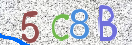 Immagine CAPTCHA