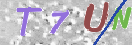 Immagine CAPTCHA