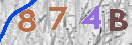 Immagine CAPTCHA