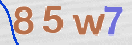 Immagine CAPTCHA
