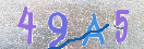 Immagine CAPTCHA