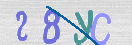 Immagine CAPTCHA