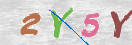 Immagine CAPTCHA