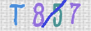 Immagine CAPTCHA
