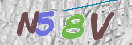 Immagine CAPTCHA