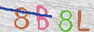 Immagine CAPTCHA