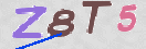 Immagine CAPTCHA