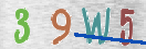 Immagine CAPTCHA