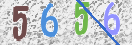Immagine CAPTCHA