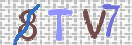 Immagine CAPTCHA